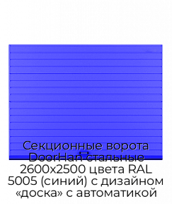 Секционные ворота DoorHan стальные 2600х2500 цвета RAL 5005 (синий) с дизайном «доска» с автоматикой