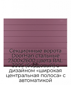 Секционные ворота DoorHan стальные 2300х2600 цвета RAL 3005 (бордовый) с дизайном «широкая центральная полоса» с автоматикой