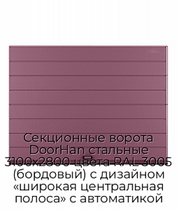 Секционные ворота DoorHan стальные 3100х2800 цвета RAL 3005 (бордовый) с дизайном «широкая центральная полоса» с автоматикой preview 1