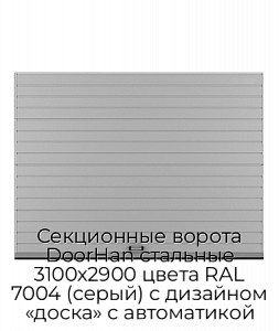 Секционные ворота DoorHan стальные 3100х2900 цвета RAL 7004 (серый) с дизайном «доска» с автоматикой preview 1