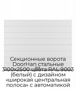 Секционные ворота DoorHan стальные 3100х2500 цвета RAL 9003 (белый) с дизайном «широкая центральная полоса» с автоматикой preview 1
