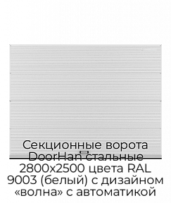 Секционные ворота DoorHan стальные 2800х2500 цвета RAL 9003 (белый) с дизайном «волна» с автоматикой