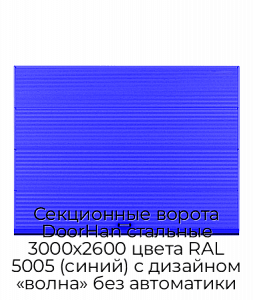 Секционные ворота DoorHan стальные 3000х2600 цвета RAL 5005 (синий) с дизайном «волна» без автоматики preview 1