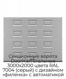 Секционные ворота DoorHan стальные 3000х2000 цвета RAL 7004 (серый) с дизайном «филенка» с автоматикой preview 1