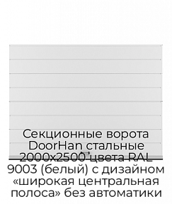 Секционные ворота DoorHan стальные 2000х2500 цвета RAL 9003 (белый) с дизайном «широкая центральная полоса» без автоматики