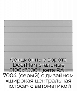Секционные ворота DoorHan стальные 3100х2500 цвета RAL 7004 (серый) с дизайном «широкая центральная полоса» с автоматикой preview 1