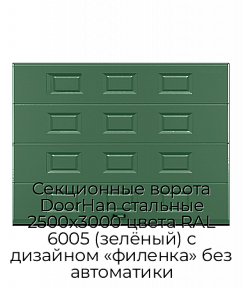 Секционные ворота DoorHan стальные 2500х3000 цвета RAL 6005 (зелёный) с дизайном «филенка» без автоматики