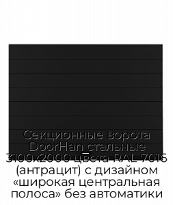 Секционные ворота DoorHan стальные 3100х2000 цвета RAL 7016 (антрацит) с дизайном «широкая центральная полоса» без автоматики preview 1