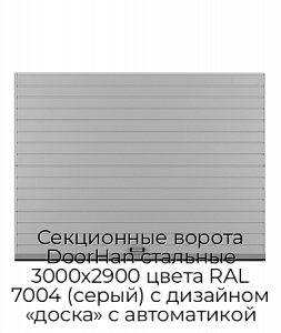 Секционные ворота DoorHan стальные 3000х2900 цвета RAL 7004 (серый) с дизайном «доска» с автоматикой preview 1