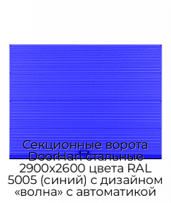 Секционные ворота DoorHan стальные 2900х2600 цвета RAL 5005 (синий) с дизайном «волна» с автоматикой