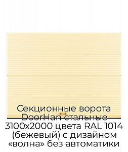 Секционные ворота DoorHan стальные 3100х2000 цвета RAL 1014 (бежевый) с дизайном «волна» без автоматики preview 1