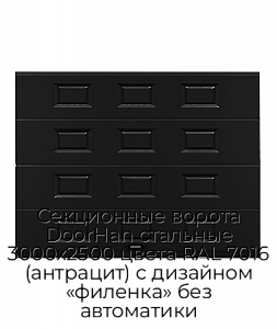 Секционные ворота DoorHan стальные 3000х2500 цвета RAL 7016 (антрацит) с дизайном «филенка» без автоматики preview 1