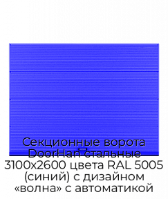 Секционные ворота DoorHan стальные 3100х2600 цвета RAL 5005 (синий) с дизайном «волна» с автоматикой