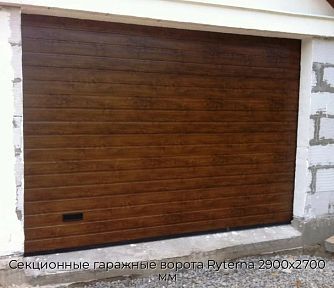 Секционные гаражные ворота Ryterna 2900х2700 мм