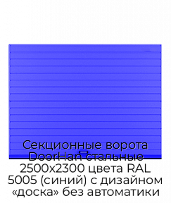 Секционные ворота DoorHan стальные 2500х2300 цвета RAL 5005 (синий) с дизайном «доска» без автоматики