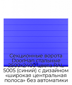 Секционные ворота DoorHan стальные 2500х2400 цвета RAL 5005 (синий) с дизайном «широкая центральная полоса» без автоматики
