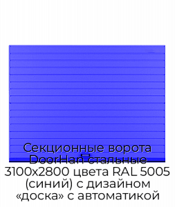 Секционные ворота DoorHan стальные 3100х2800 цвета RAL 5005 (синий) с дизайном «доска» с автоматикой preview 1