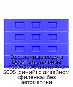 Секционные ворота DoorHan стальные 2600х2300 цвета RAL 5005 (синий) с дизайном «филенка» без автоматики