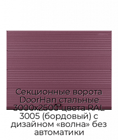 Секционные ворота DoorHan стальные 3000х2500 цвета RAL 3005 (бордовый) с дизайном «волна» без автоматики