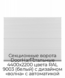 Секционные ворота DoorHan стальные 4400х2200 цвета RAL 9003 (белый) с дизайном «волна» с автоматикой preview 1