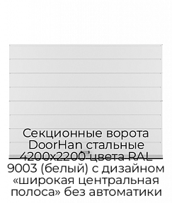 Секционные ворота DoorHan стальные 4200х2200 цвета RAL 9003 (белый) с дизайном «широкая центральная полоса» без автоматики