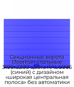 Секционные ворота DoorHan стальные 3100х2200 цвета RAL 5005 (синий) с дизайном «широкая центральная полоса» без автоматики
