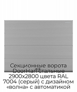 Секционные ворота DoorHan стальные 2900х2800 цвета RAL 7004 (серый) с дизайном «волна» с автоматикой preview 1
