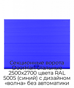 Секционные ворота DoorHan стальные 2500х2700 цвета RAL 5005 (синий) с дизайном «волна» без автоматики