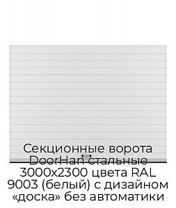 Секционные ворота DoorHan стальные 3000х2300 цвета RAL 9003 (белый) с дизайном «доска» без автоматики preview 1
