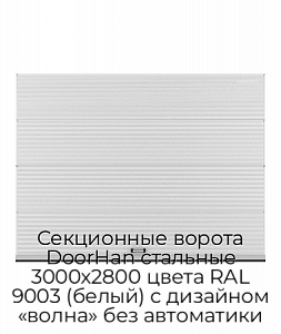 Секционные ворота DoorHan стальные 3000х2800 цвета RAL 9003 (белый) с дизайном «волна» без автоматики preview 1