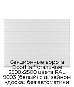 Секционные ворота DoorHan стальные 2500х2500 цвета RAL 9003 (белый) с дизайном «доска» без автоматики