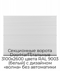Секционные ворота DoorHan стальные 3100х2600 цвета RAL 9003 (белый) с дизайном «волна» без автоматики preview 1