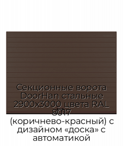 Секционные ворота DoorHan стальные 2900х3000 цвета RAL 8017 (коричнево-красный) с дизайном «доска» с автоматикой preview 1