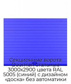 Секционные ворота DoorHan стальные 3000х2900 цвета RAL 5005 (синий) с дизайном «доска» без автоматики