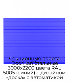 Секционные ворота DoorHan стальные 3000х2200 цвета RAL 5005 (синий) с дизайном «доска» с автоматикой