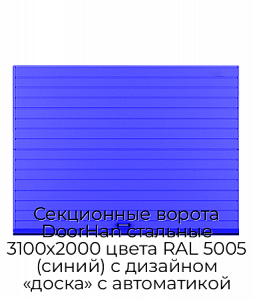 Секционные ворота DoorHan стальные 3100х2000 цвета RAL 5005 (синий) с дизайном «доска» с автоматикой preview 1