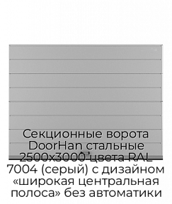 Секционные ворота DoorHan стальные 2500х3000 цвета RAL 7004 (серый) с дизайном «широкая центральная полоса» без автоматики