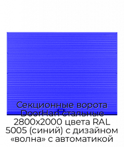 Секционные ворота DoorHan стальные 2800х2000 цвета RAL 5005 (синий) с дизайном «волна» с автоматикой