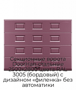 Секционные ворота DoorHan стальные 2500х2800 цвета RAL 3005 (бордовый) с дизайном «филенка» без автоматики