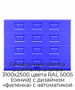 Секционные ворота DoorHan стальные 3100х2500 цвета RAL 5005 (синий) с дизайном «филенка» с автоматикой preview 1