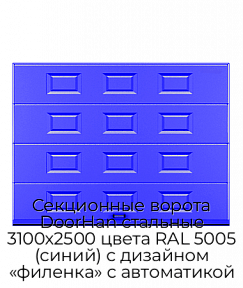 Секционные ворота DoorHan стальные 3100х2500 цвета RAL 5005 (синий) с дизайном «филенка» с автоматикой
