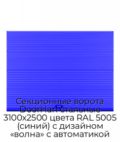 Секционные ворота DoorHan стальные 3100х2500 цвета RAL 5005 (синий) с дизайном «волна» с автоматикой