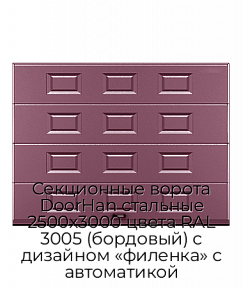 Секционные ворота DoorHan стальные 2500х3000 цвета RAL 3005 (бордовый) с дизайном «филенка» с автоматикой