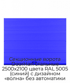 Секционные ворота DoorHan стальные 2500х2100 цвета RAL 5005 (синий) с дизайном «волна» без автоматики