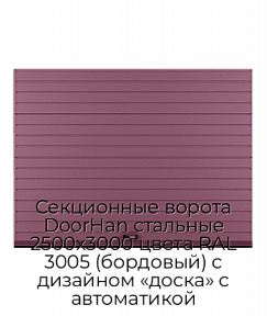 Секционные ворота DoorHan стальные 2500х3000 цвета RAL 3005 (бордовый) с дизайном «доска» с автоматикой