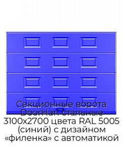 Секционные ворота DoorHan стальные 3100х2700 цвета RAL 5005 (синий) с дизайном «филенка» с автоматикой