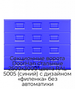 Секционные ворота DoorHan стальные 2500х3000 цвета RAL 5005 (синий) с дизайном «филенка» без автоматики