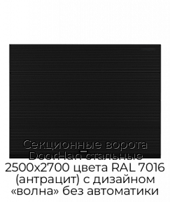 Секционные ворота DoorHan стальные 2500х2700 цвета RAL 7016 (антрацит) с дизайном «волна» без автоматики