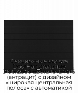 Секционные ворота DoorHan стальные 3100х2500 цвета RAL 7016 (антрацит) с дизайном «широкая центральная полоса» с автоматикой preview 1