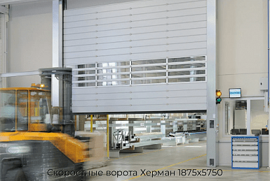 Скоростные ворота Херман 1875х5750